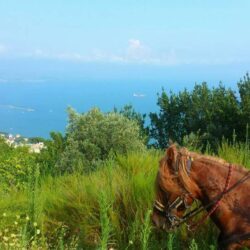 Agroturismo Costa Amalfi 1