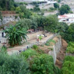 Agroturismo Costa Amalfi 13