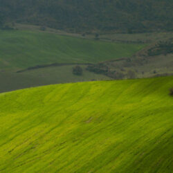 Agroturismo Zona Calabria 6