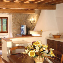 Masía zona Florencia 8