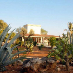 Masia Gallipoli Apulia 2