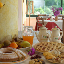 Masia Gallipoli Apulia 3