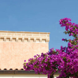 Masia Gallipoli Apulia 4