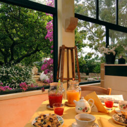 Masia Gallipoli Apulia 6