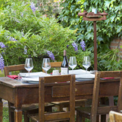 Masiá zona Massa Carrara 15