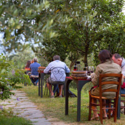 Masiá zona Massa Carrara 17
