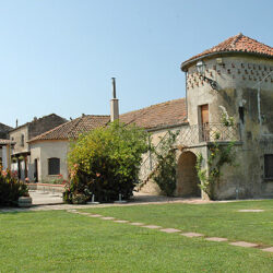 Masía zona Paestum 5