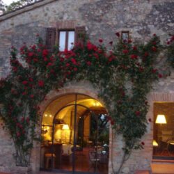 Masia zona San Gimignano 7