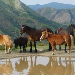 Masía zona La Spezia 18