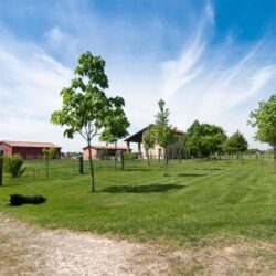 Masía zona Venecia 15