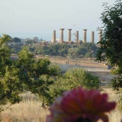 Agrigento 9